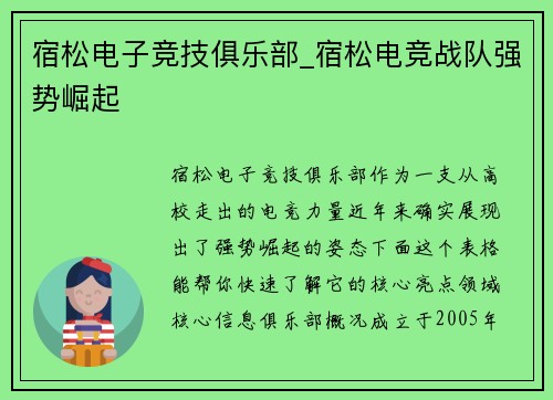 宿松电子竞技俱乐部_宿松电竞战队强势崛起
